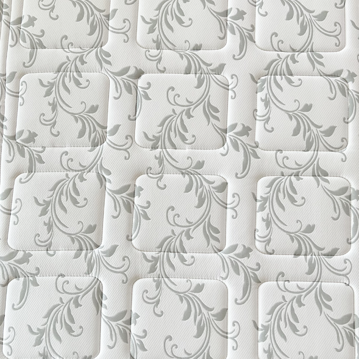 Donatello - immagine 6