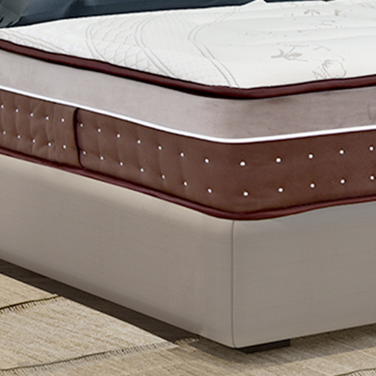 Leonardo - immagine 2