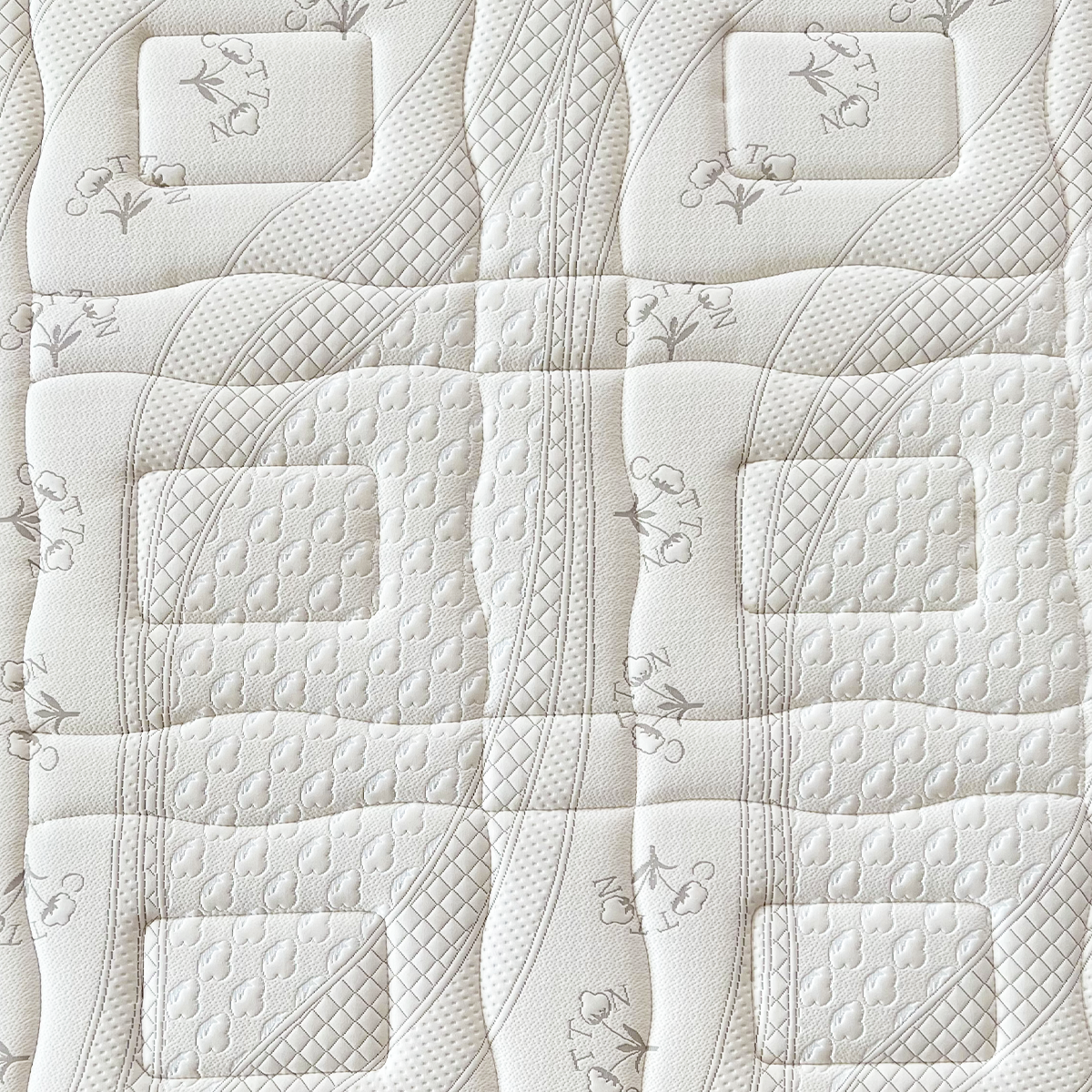 Leonardo - immagine 6